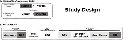 Heart Rate Variability as an Index of Differential Brain Dynamics at Rest and After Acute Stress Induction